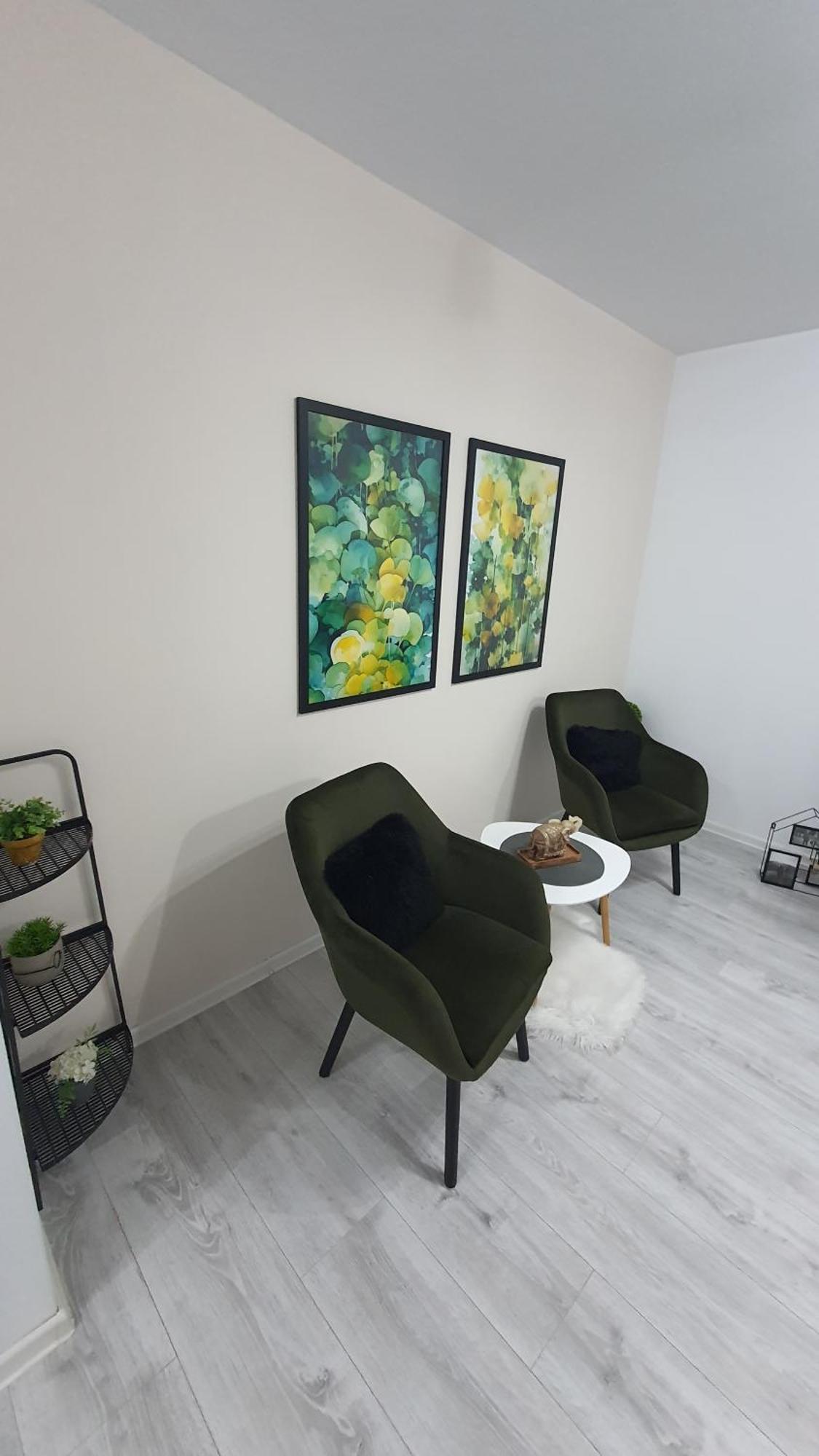 Green Apartment Coresi Brasov Exterior photo